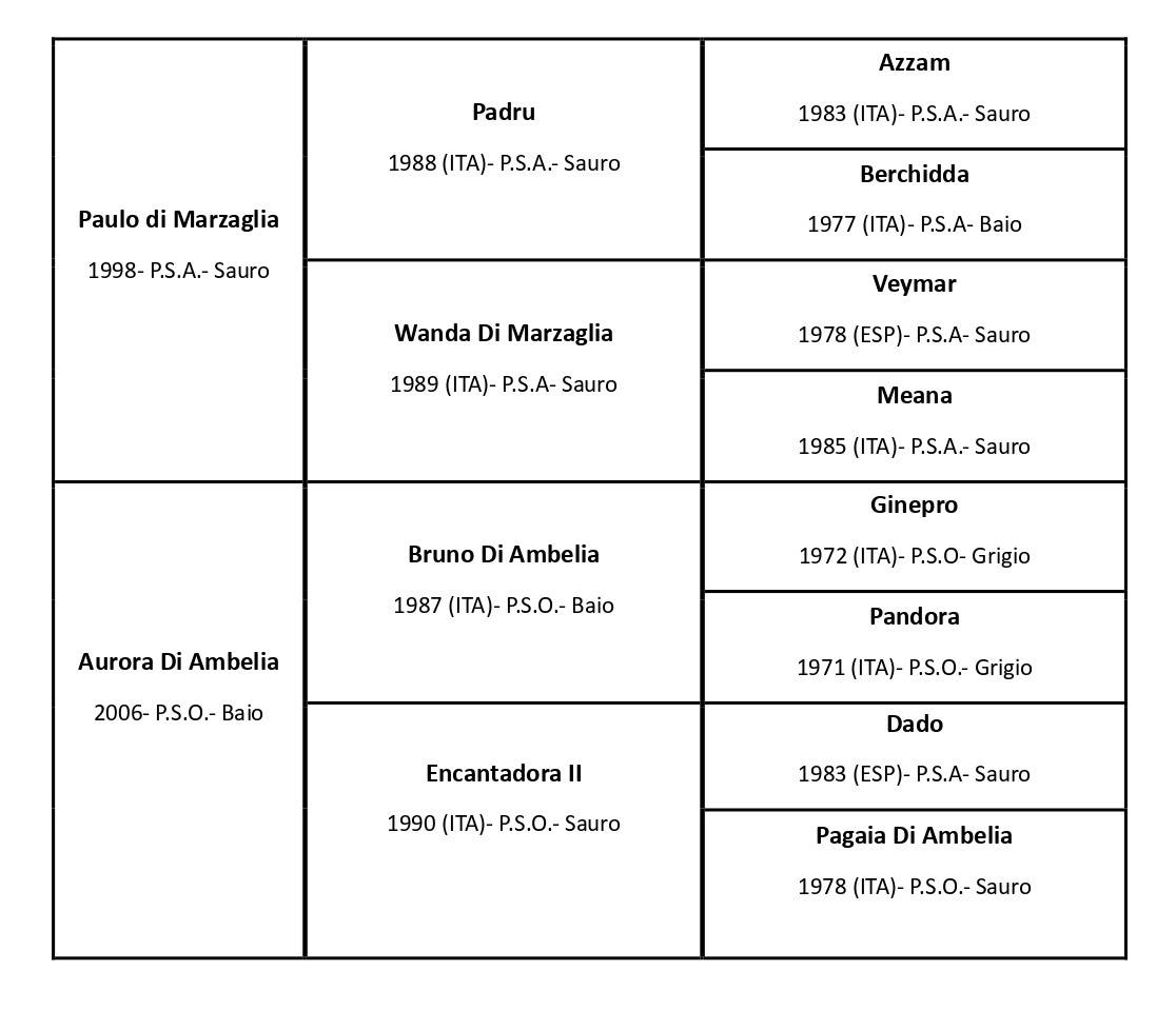 genealogia