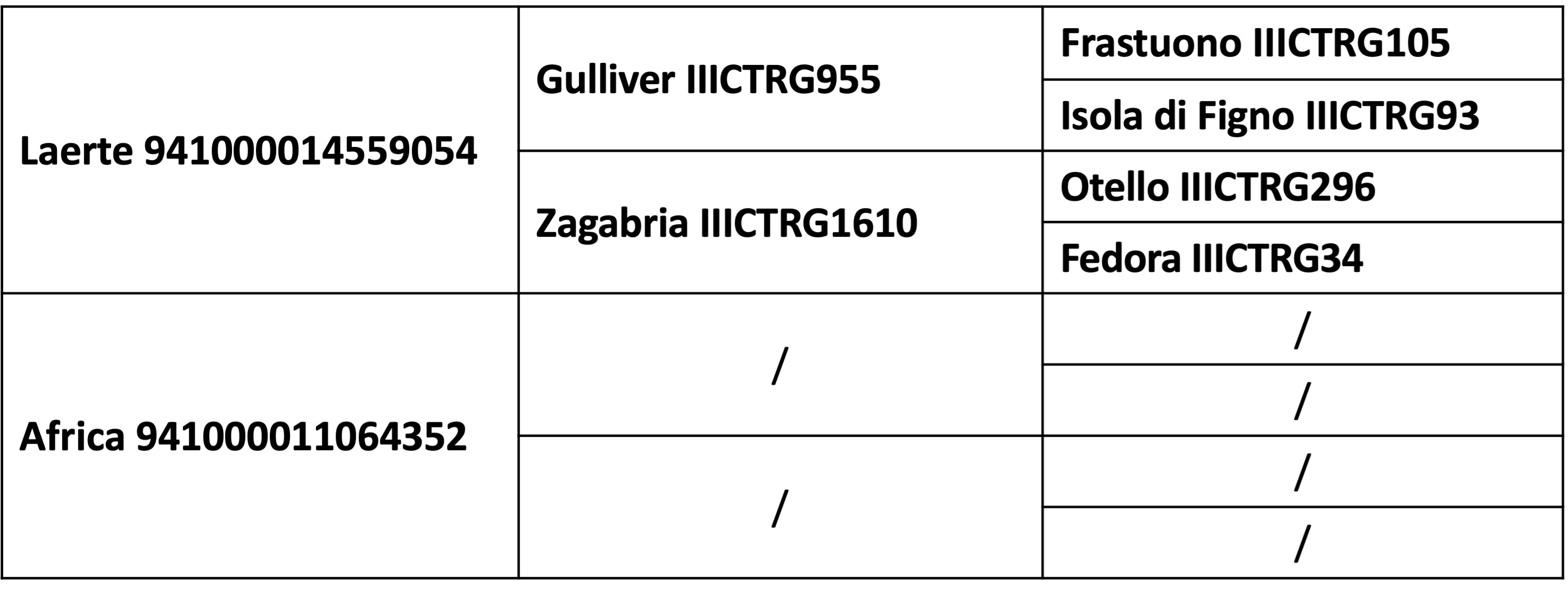 Genealogia max