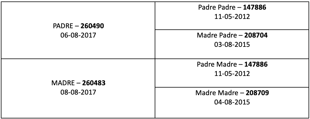 Genealogia completa