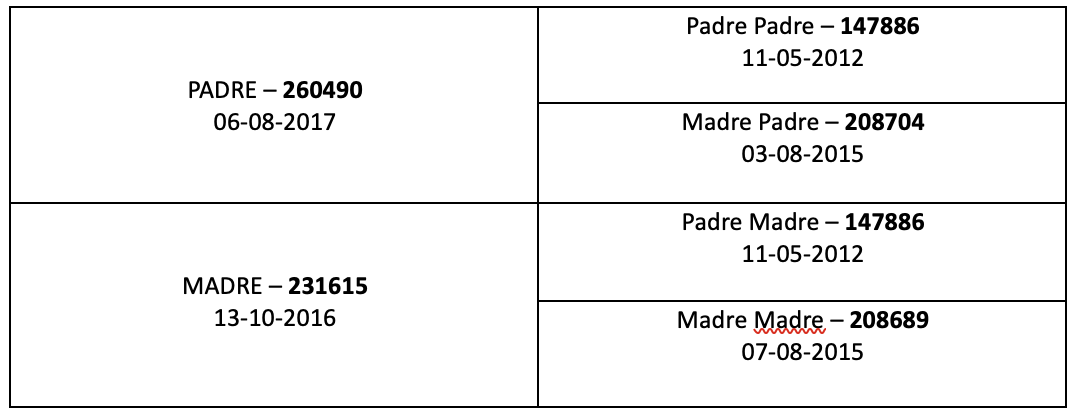 Genealogia completa