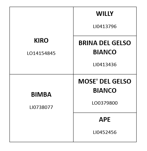 Genealogia completa