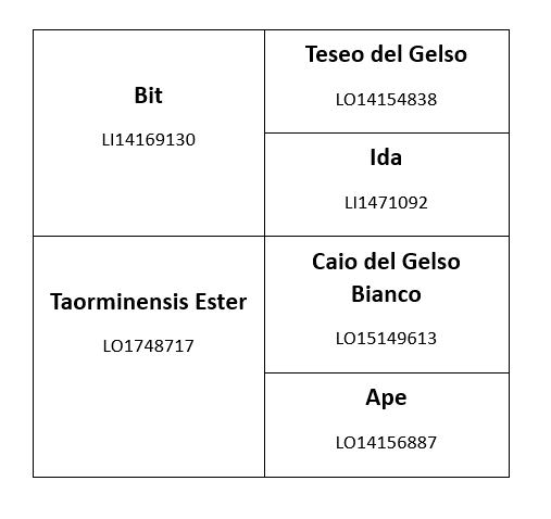 Genealogia completa