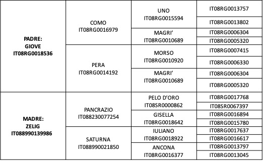 Genealogia