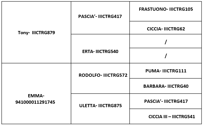 Genealogia Paride